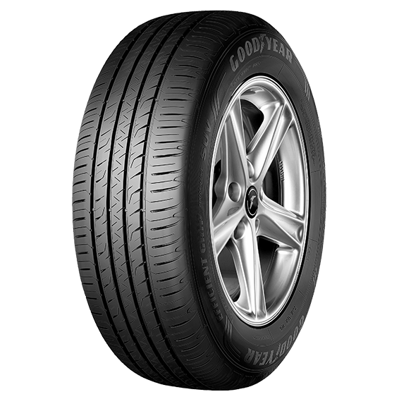 Image of Goodyear 205/55R16 91V EfficientGrip Performance tire